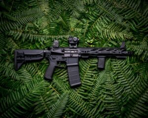 Read more about the article Assault Weapons Ban Blocked by Federal Appeals Court