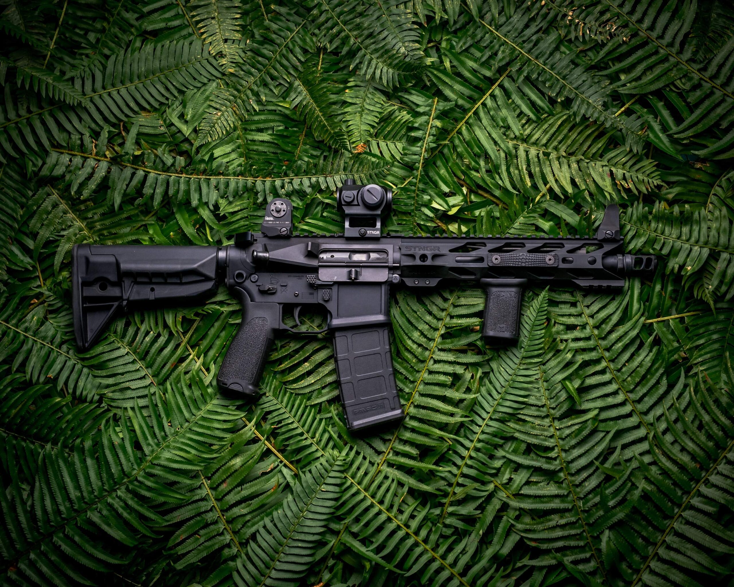 You are currently viewing Assault Weapons Ban Blocked by Federal Appeals Court