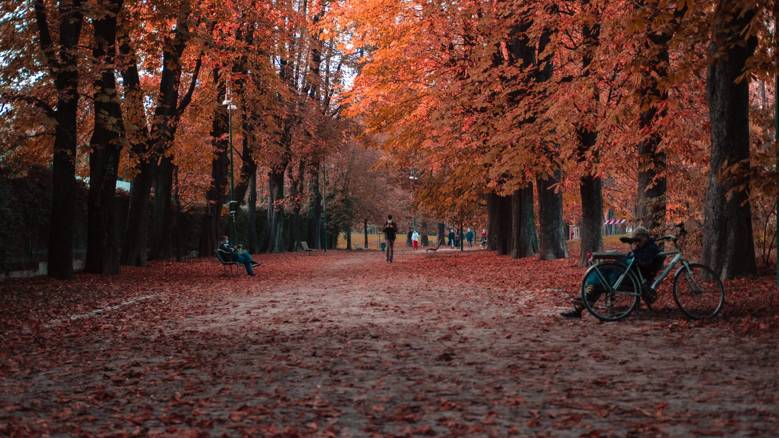 You are currently viewing Fall Things To Do Around Chicago