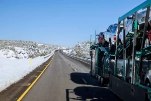 transporting a car for snowbirds relocating from Chicago